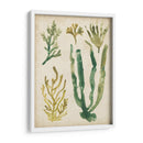 Vintage Fronds Vi - June Erica Vess | Cuadro decorativo de Canvas Lab