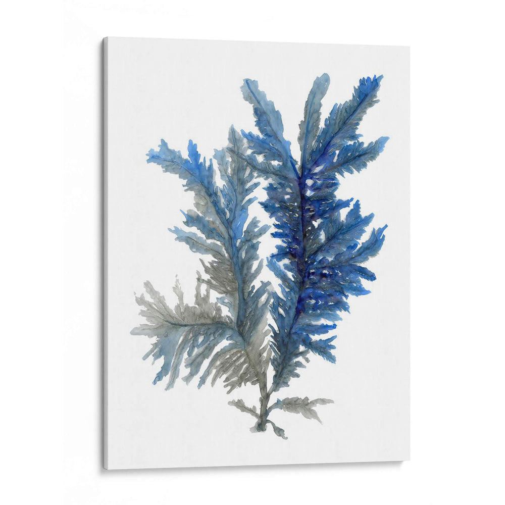 Ocean Bloom I - A.C. Warren | Cuadro decorativo de Canvas Lab