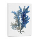 Ocean Bloom I - A.C. Warren | Cuadro decorativo de Canvas Lab