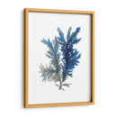 Ocean Bloom I - A.C. Warren | Cuadro decorativo de Canvas Lab