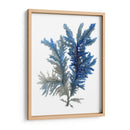 Ocean Bloom I - A.C. Warren | Cuadro decorativo de Canvas Lab