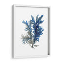 Ocean Bloom I - A.C. Warren | Cuadro decorativo de Canvas Lab