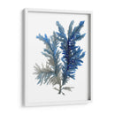 Ocean Bloom I - A.C. Warren | Cuadro decorativo de Canvas Lab