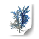 Ocean Bloom I - A.C. Warren | Cuadro decorativo de Canvas Lab