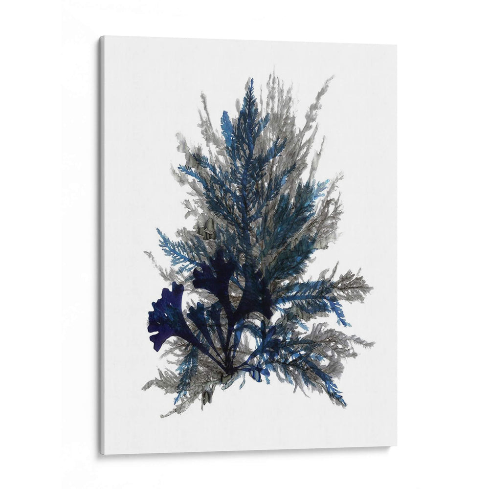 Ocean Bloom Ii - A.C. Warren | Cuadro decorativo de Canvas Lab