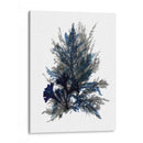Ocean Bloom Ii - A.C. Warren | Cuadro decorativo de Canvas Lab