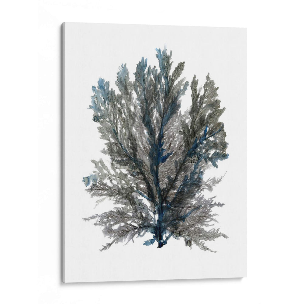 Ocean Bloom Iii - A.C. Warren | Cuadro decorativo de Canvas Lab