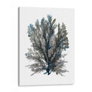 Ocean Bloom Iii - A.C. Warren | Cuadro decorativo de Canvas Lab