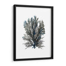 Ocean Bloom Iii - A.C. Warren | Cuadro decorativo de Canvas Lab