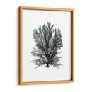 Ocean Bloom Iii - A.C. Warren | Cuadro decorativo de Canvas Lab