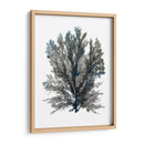 Ocean Bloom Iii - A.C. Warren | Cuadro decorativo de Canvas Lab