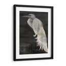 Egret Texturizado I - A.C. Warren | Cuadro decorativo de Canvas Lab