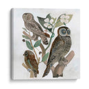 Búhos Tradicionales Ii - A.C. Warren | Cuadro decorativo de Canvas Lab