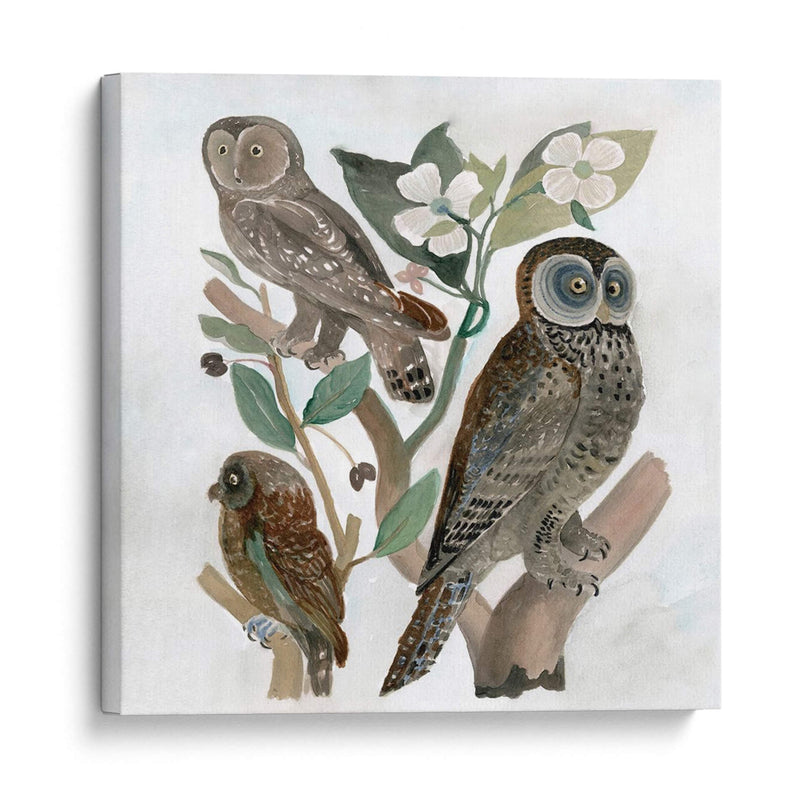 Búhos Tradicionales Ii - A.C. Warren | Cuadro decorativo de Canvas Lab