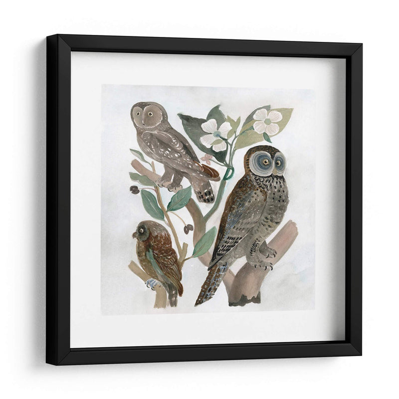 Búhos Tradicionales Ii - A.C. Warren | Cuadro decorativo de Canvas Lab