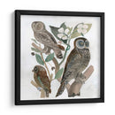 Búhos Tradicionales Ii - A.C. Warren | Cuadro decorativo de Canvas Lab