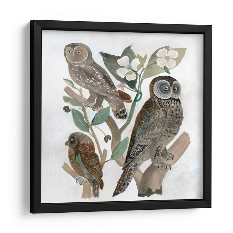 Búhos Tradicionales Ii - A.C. Warren | Cuadro decorativo de Canvas Lab