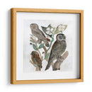 Búhos Tradicionales Ii - A.C. Warren | Cuadro decorativo de Canvas Lab
