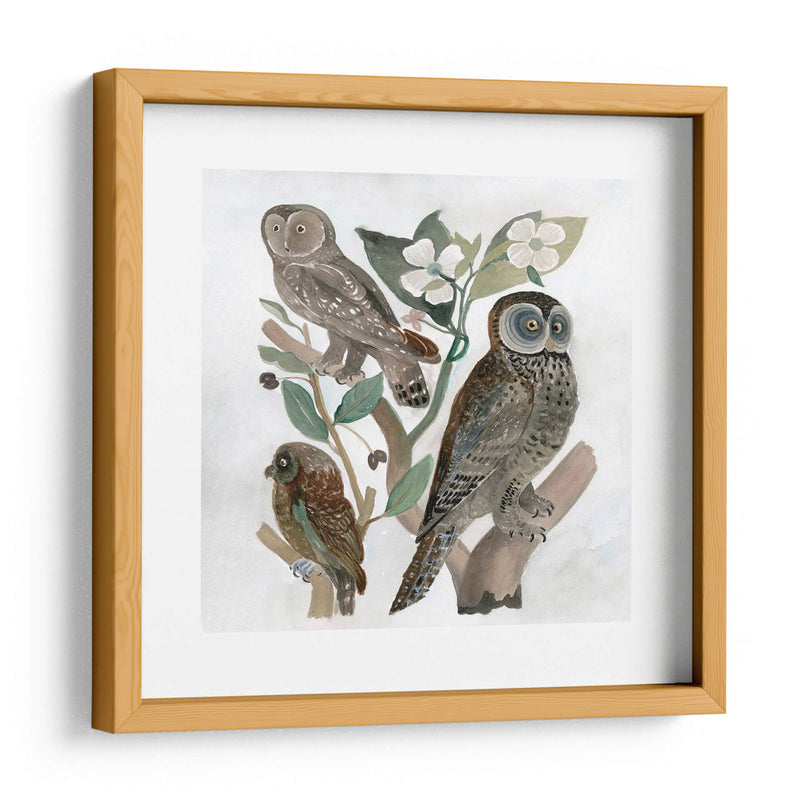 Búhos Tradicionales Ii - A.C. Warren | Cuadro decorativo de Canvas Lab