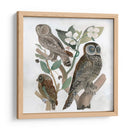Búhos Tradicionales Ii - A.C. Warren | Cuadro decorativo de Canvas Lab
