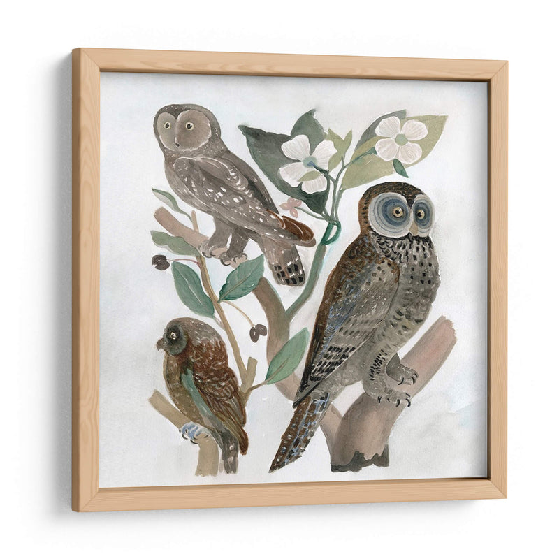 Búhos Tradicionales Ii - A.C. Warren | Cuadro decorativo de Canvas Lab