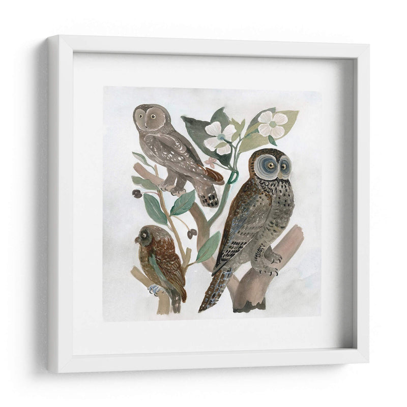 Búhos Tradicionales Ii - A.C. Warren | Cuadro decorativo de Canvas Lab