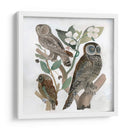 Búhos Tradicionales Ii - A.C. Warren | Cuadro decorativo de Canvas Lab