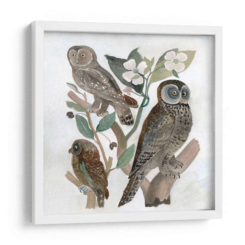 Búhos Tradicionales Ii - A.C. Warren | Cuadro decorativo de Canvas Lab