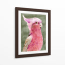 Palm Springs Parrot I - A.C. Warren | Cuadro decorativo de Canvas Lab