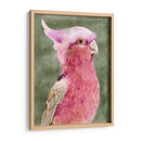 Palm Springs Parrot I - A.C. Warren | Cuadro decorativo de Canvas Lab