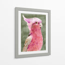 Palm Springs Parrot I - A.C. Warren | Cuadro decorativo de Canvas Lab