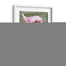 Palm Springs Parrot I - A.C. Warren | Cuadro decorativo de Canvas Lab