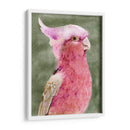 Palm Springs Parrot I - A.C. Warren | Cuadro decorativo de Canvas Lab