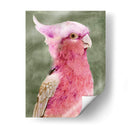 Palm Springs Parrot I - A.C. Warren | Cuadro decorativo de Canvas Lab
