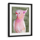 Palm Springs Parrot Ii - A.C. Warren | Cuadro decorativo de Canvas Lab