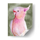 Palm Springs Parrot Ii - A.C. Warren | Cuadro decorativo de Canvas Lab