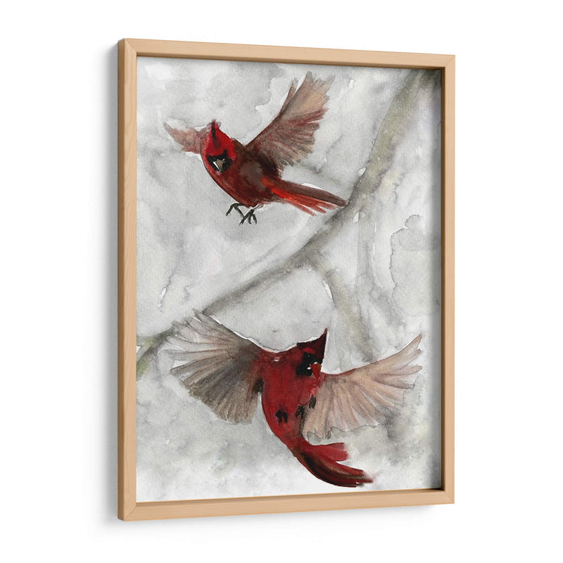 Cardenales I - A.C. Warren | Cuadro decorativo de Canvas Lab