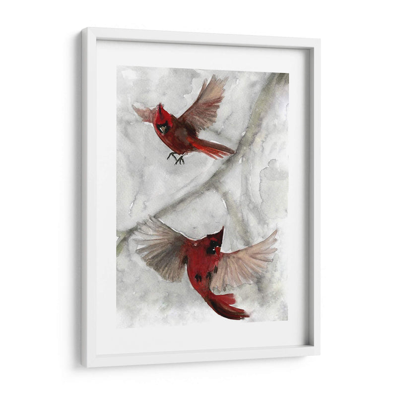 Cardenales I - A.C. Warren | Cuadro decorativo de Canvas Lab