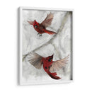 Cardenales I - A.C. Warren | Cuadro decorativo de Canvas Lab