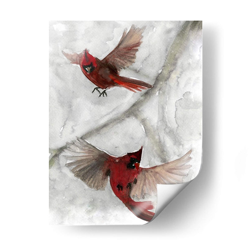 Cardenales I - A.C. Warren | Cuadro decorativo de Canvas Lab