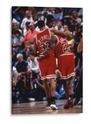 The Flu game | Cuadro decorativo de Canvas Lab