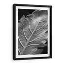 Hoja Sorprendente I - Renee W. Stramel | Cuadro decorativo de Canvas Lab