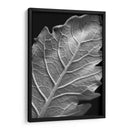 Hoja Sorprendente I - Renee W. Stramel | Cuadro decorativo de Canvas Lab