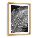 Hoja Sorprendente I - Renee W. Stramel | Cuadro decorativo de Canvas Lab