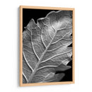 Hoja Sorprendente I - Renee W. Stramel | Cuadro decorativo de Canvas Lab