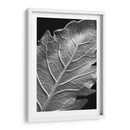 Hoja Sorprendente I - Renee W. Stramel | Cuadro decorativo de Canvas Lab