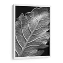 Hoja Sorprendente I - Renee W. Stramel | Cuadro decorativo de Canvas Lab