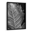 Hoja Sorprendente Ii - Renee W. Stramel | Cuadro decorativo de Canvas Lab