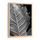 Hoja Sorprendente Ii - Renee W. Stramel | Cuadro decorativo de Canvas Lab