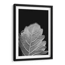 Hoja Sorprendente Iii - Renee W. Stramel | Cuadro decorativo de Canvas Lab